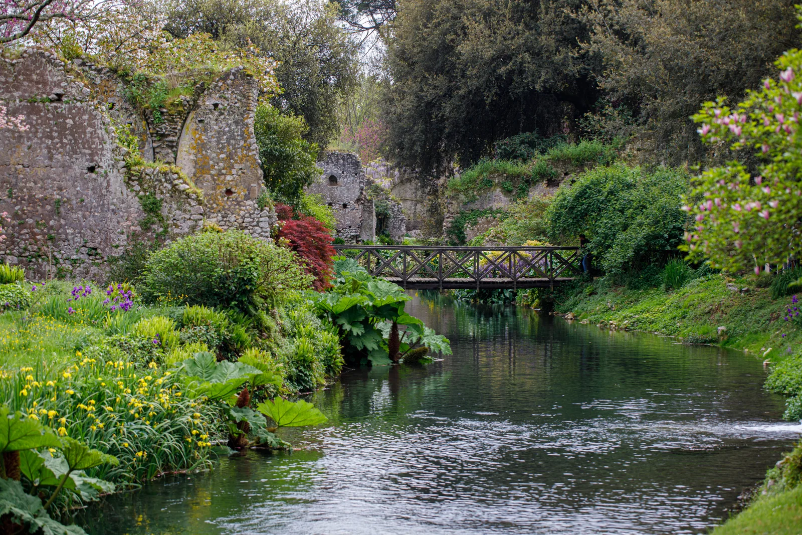 The Garden of Ninfa