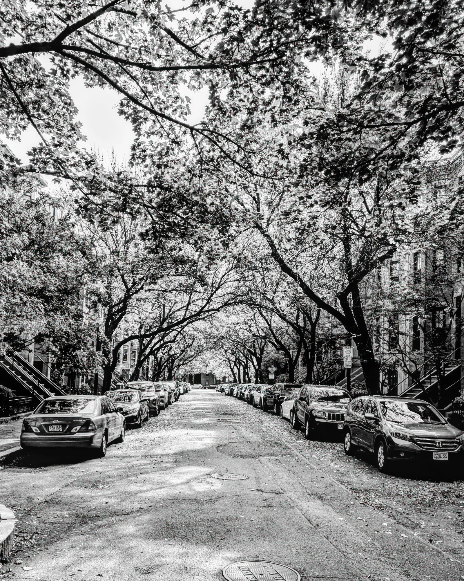 Peace Street
