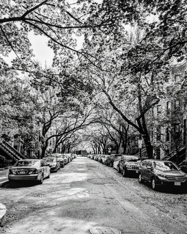 Peace Street