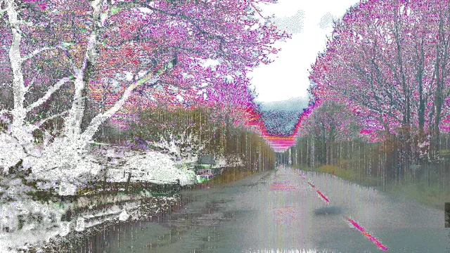 Asphalt Echo