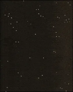 Cats Are Aliens