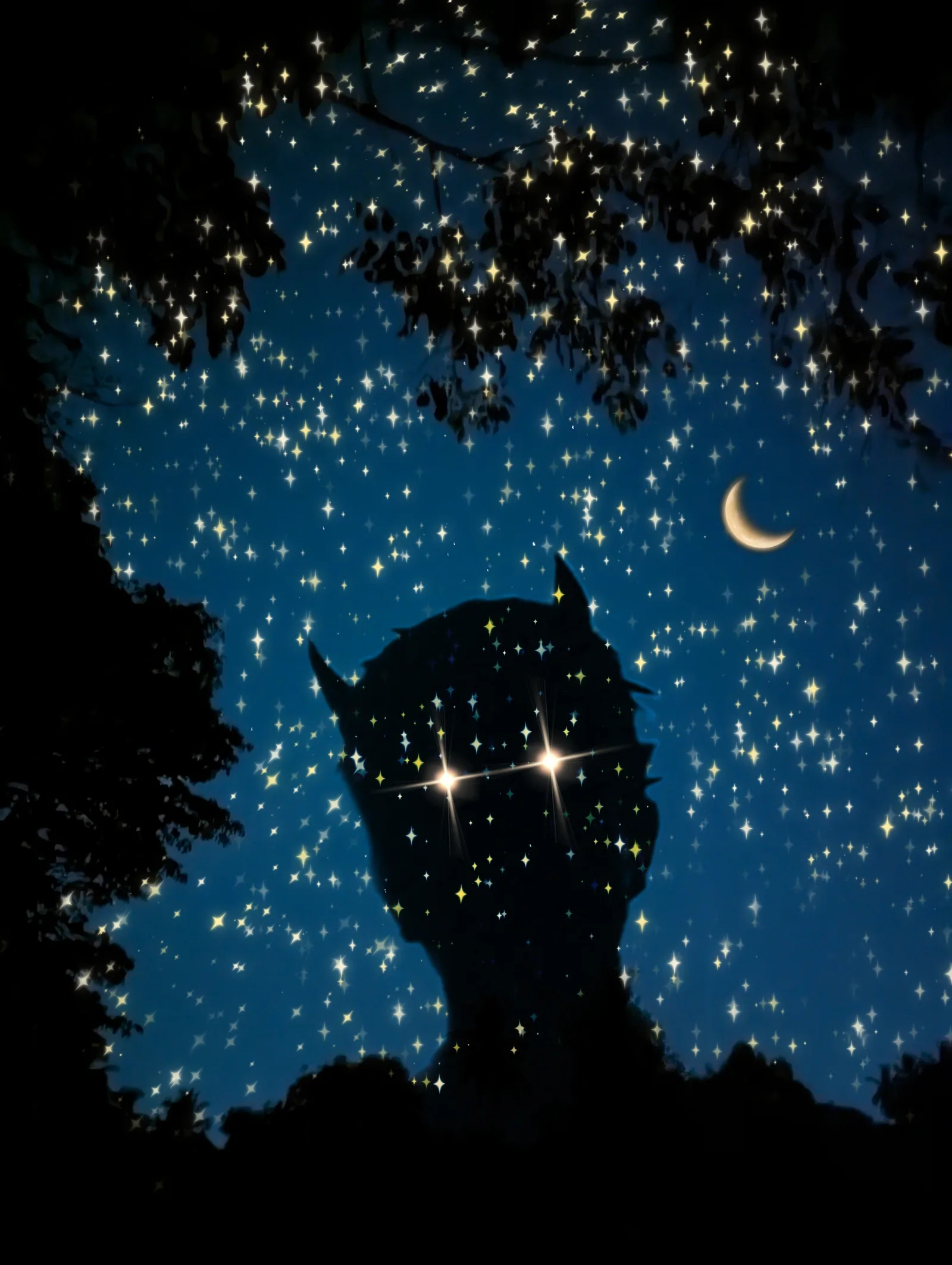 the sky the night we met