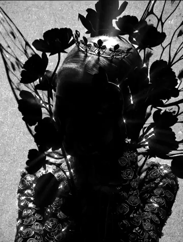 DARK PARADISE
