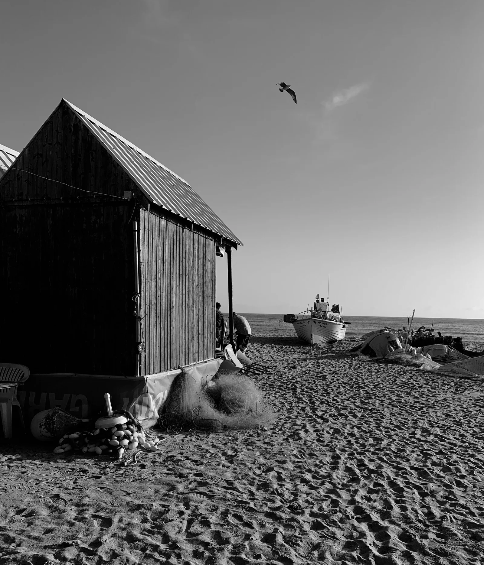 Day at the beach