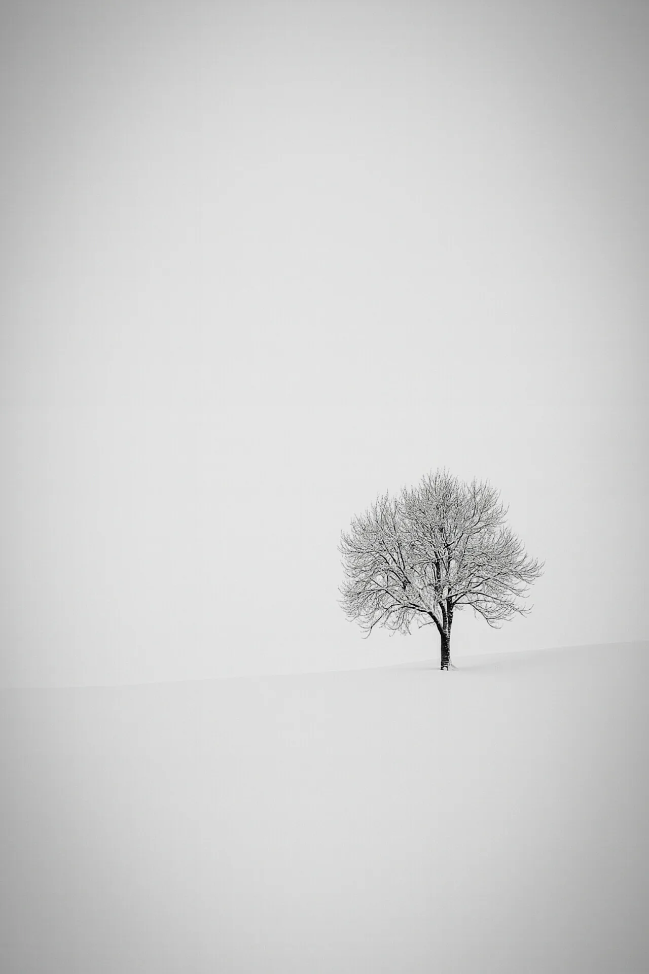 Alone