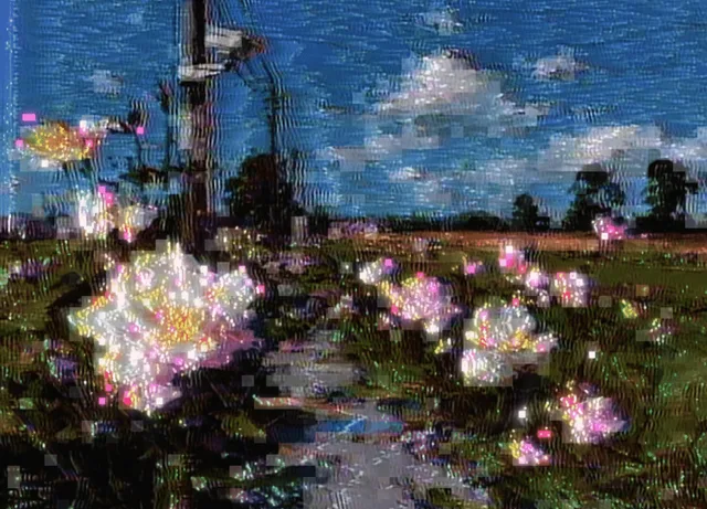 _d a y w a t c h
