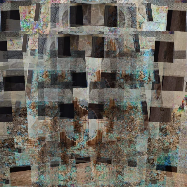 Transience