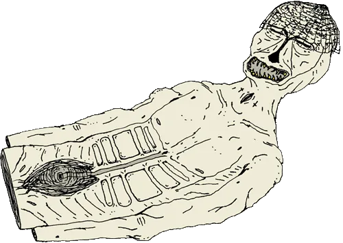 happy cocoon