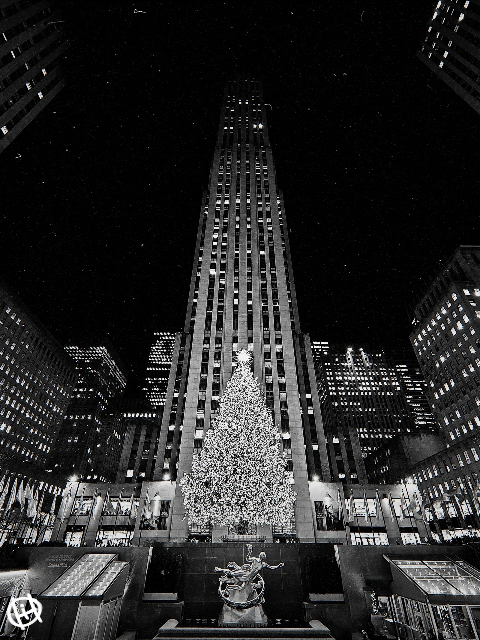 Cathedral of Christmas
