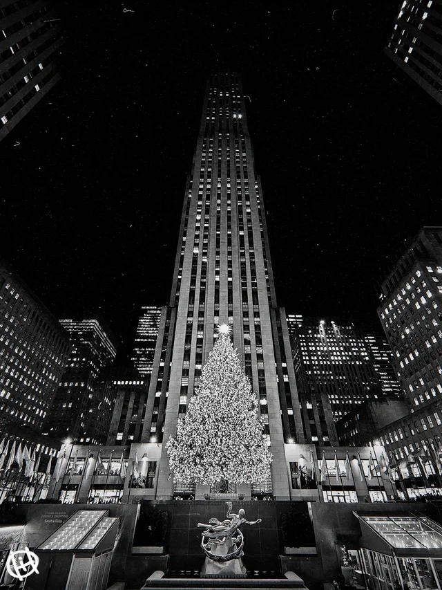 Cathedral of Christmas