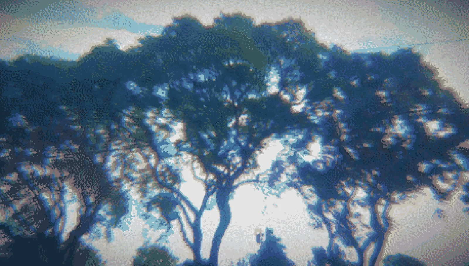 28 04 26 | 2