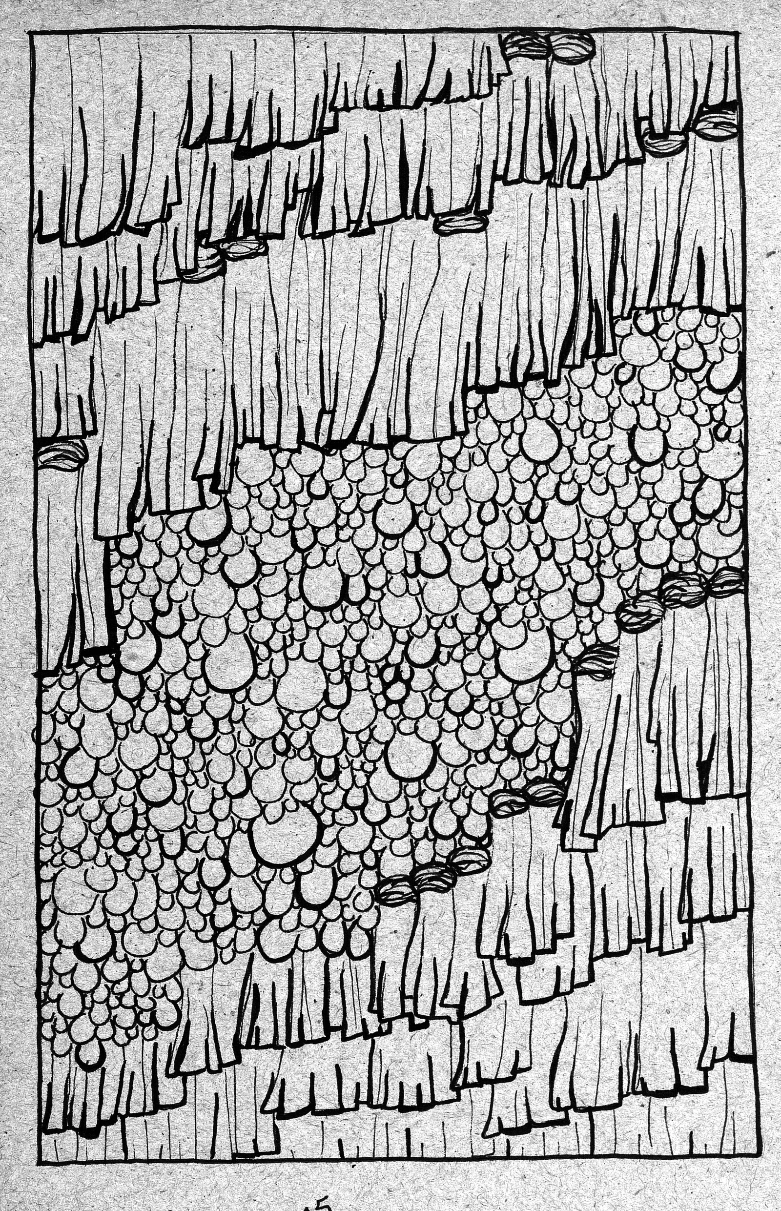 Woven Sketch XXV