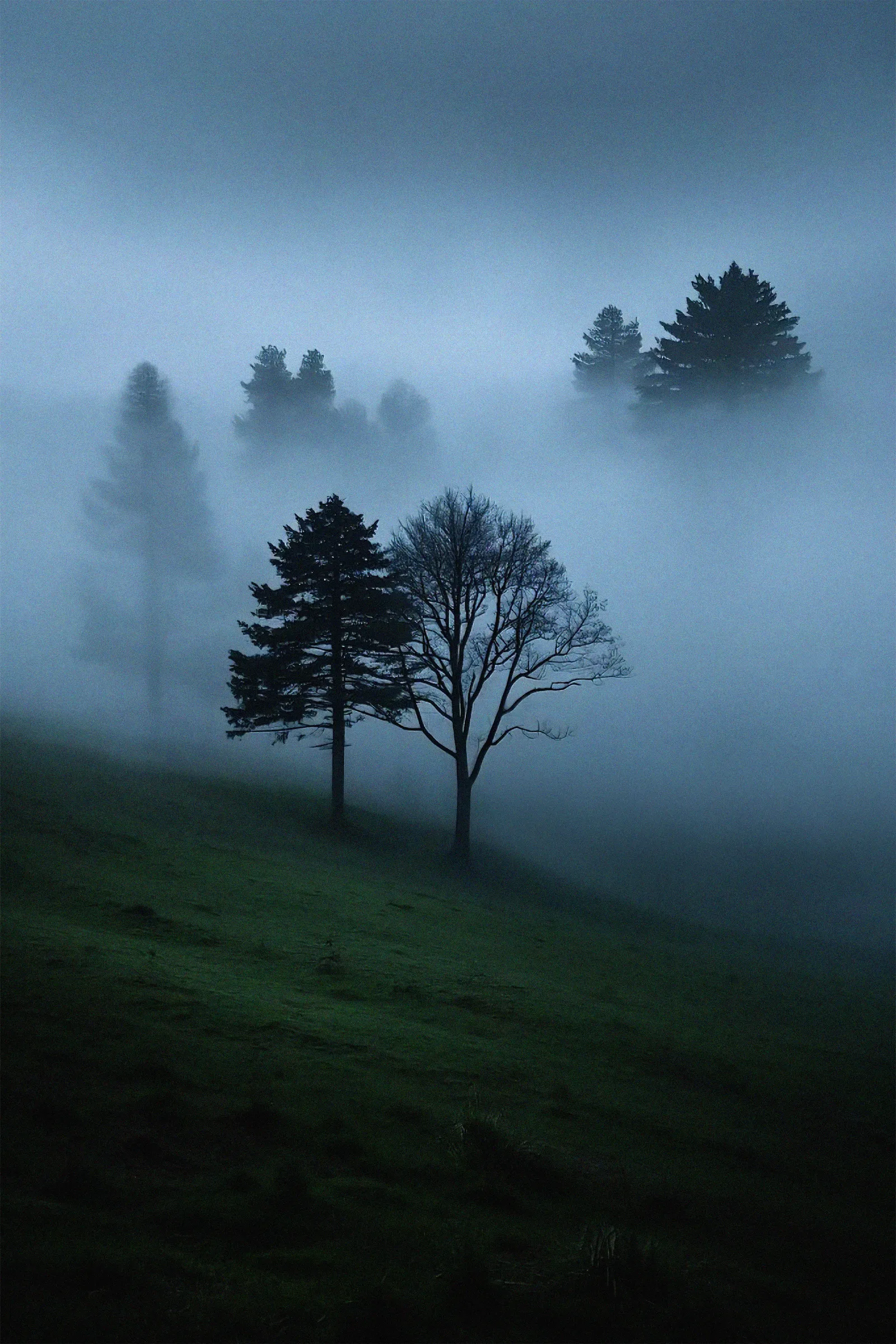 Secret Heaven
