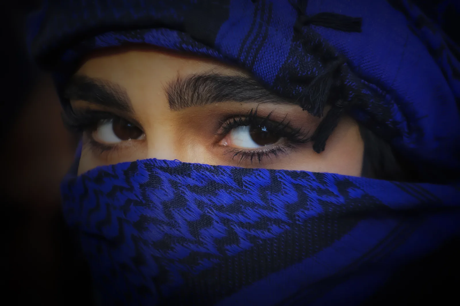 Hidden Beauty