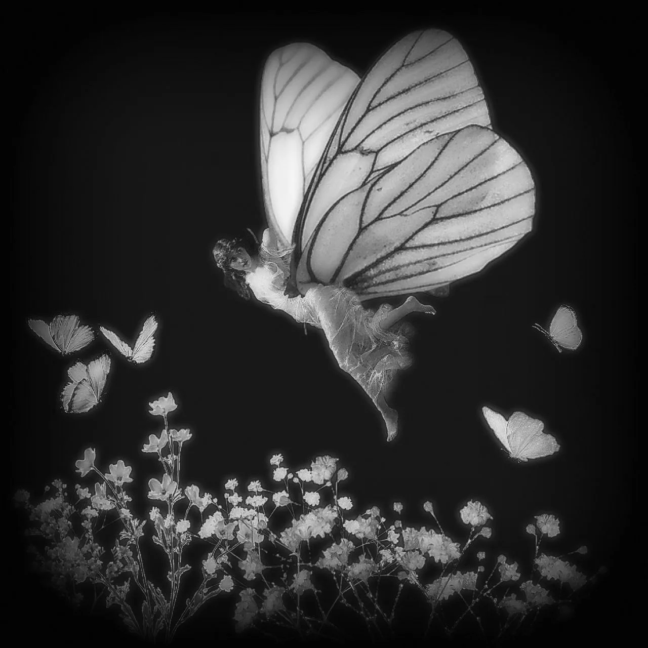 I dreamt I was a butterfly, fluttering hither and thither... Now I do not know whether I was then a woman dreaming I was a butterfly, or whether I am now a butterfly, dreaming I am a woman. "