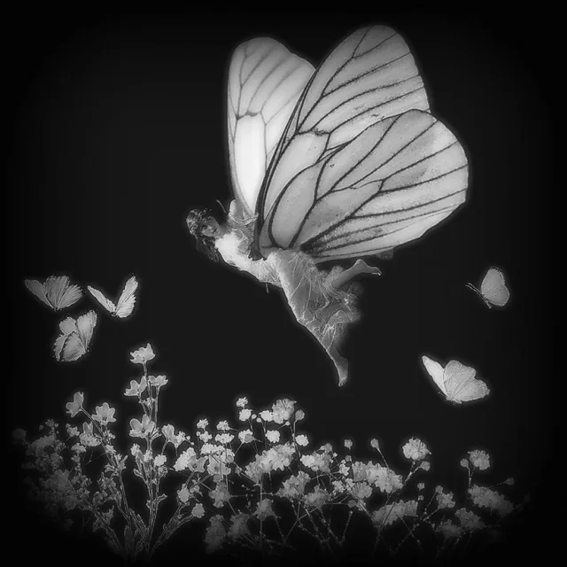 I dreamt I was a butterfly, fluttering hither and thither... Now I do not know whether I was then a woman dreaming I was a butterfly, or whether I am now a butterfly, dreaming I am a woman. "