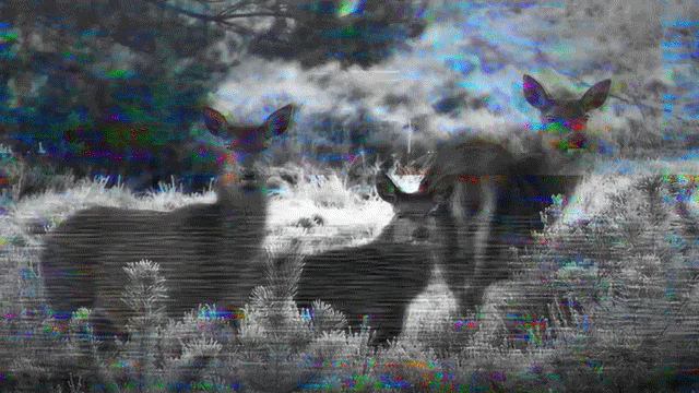 GS006 - Final Glance