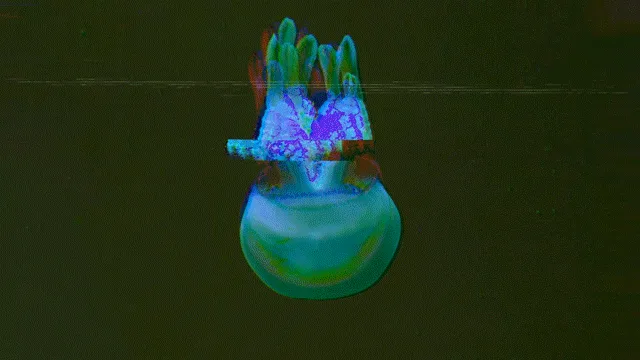 GS008 - Into the Depths